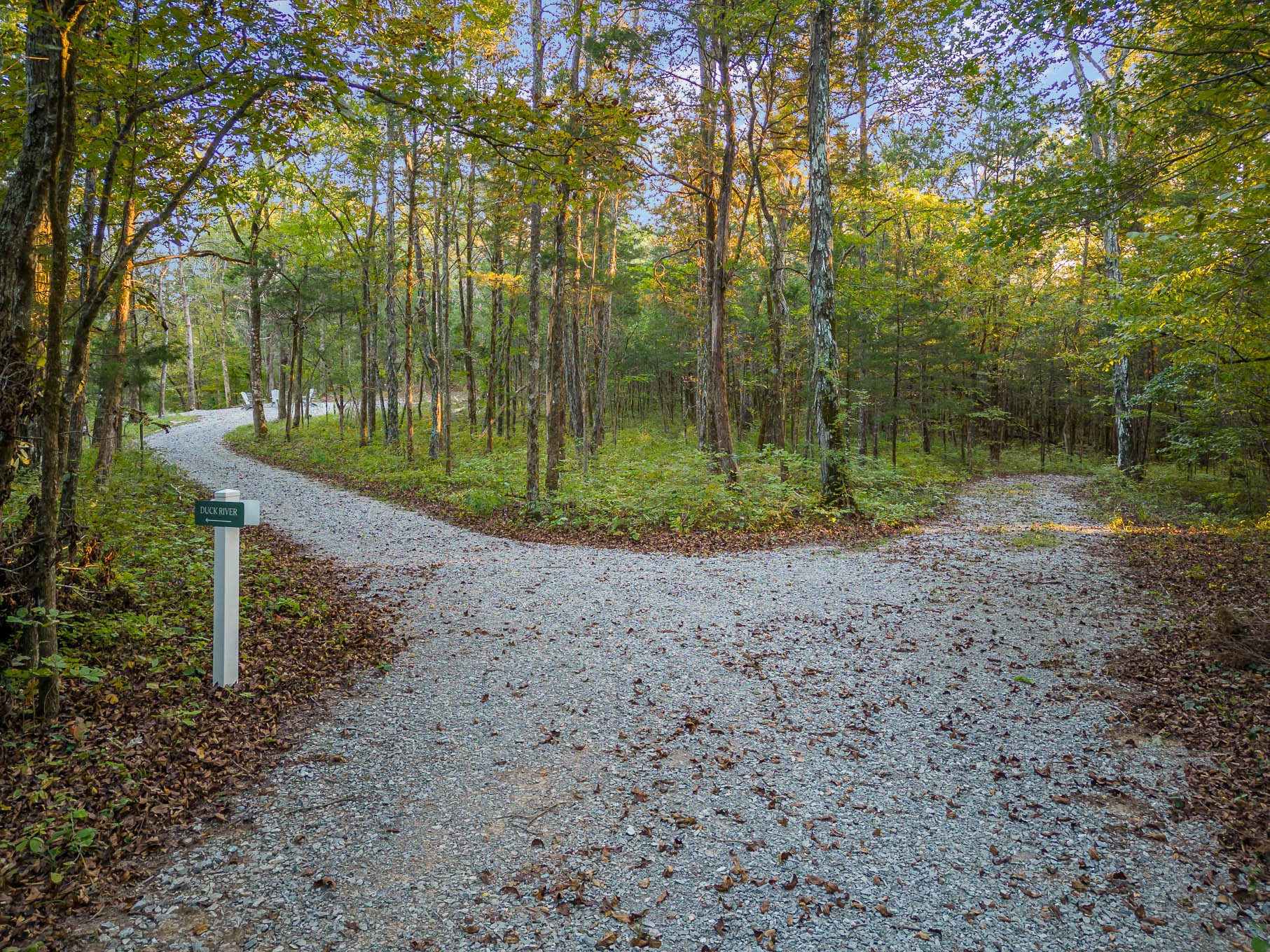 2091 Arthur Hardison Road Columbia, TN 38401 - Photo 29 of 29 a view of a park