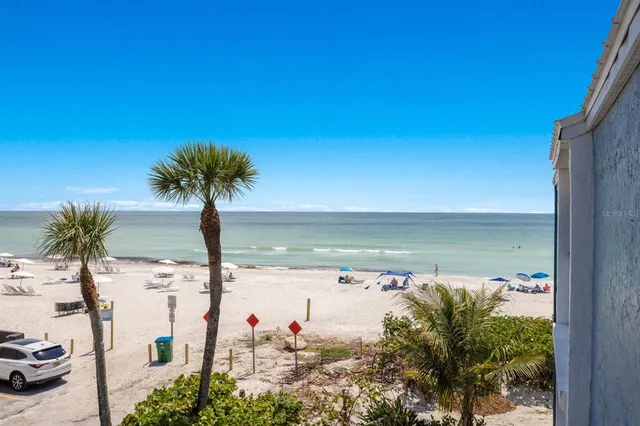 a view of a lake with a palm tree