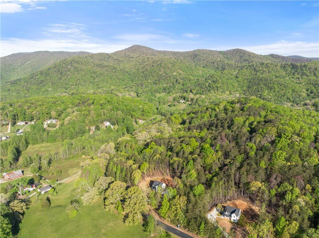 72 Chestatee Road Cleveland, GA 30528 - Photo 27 of 33