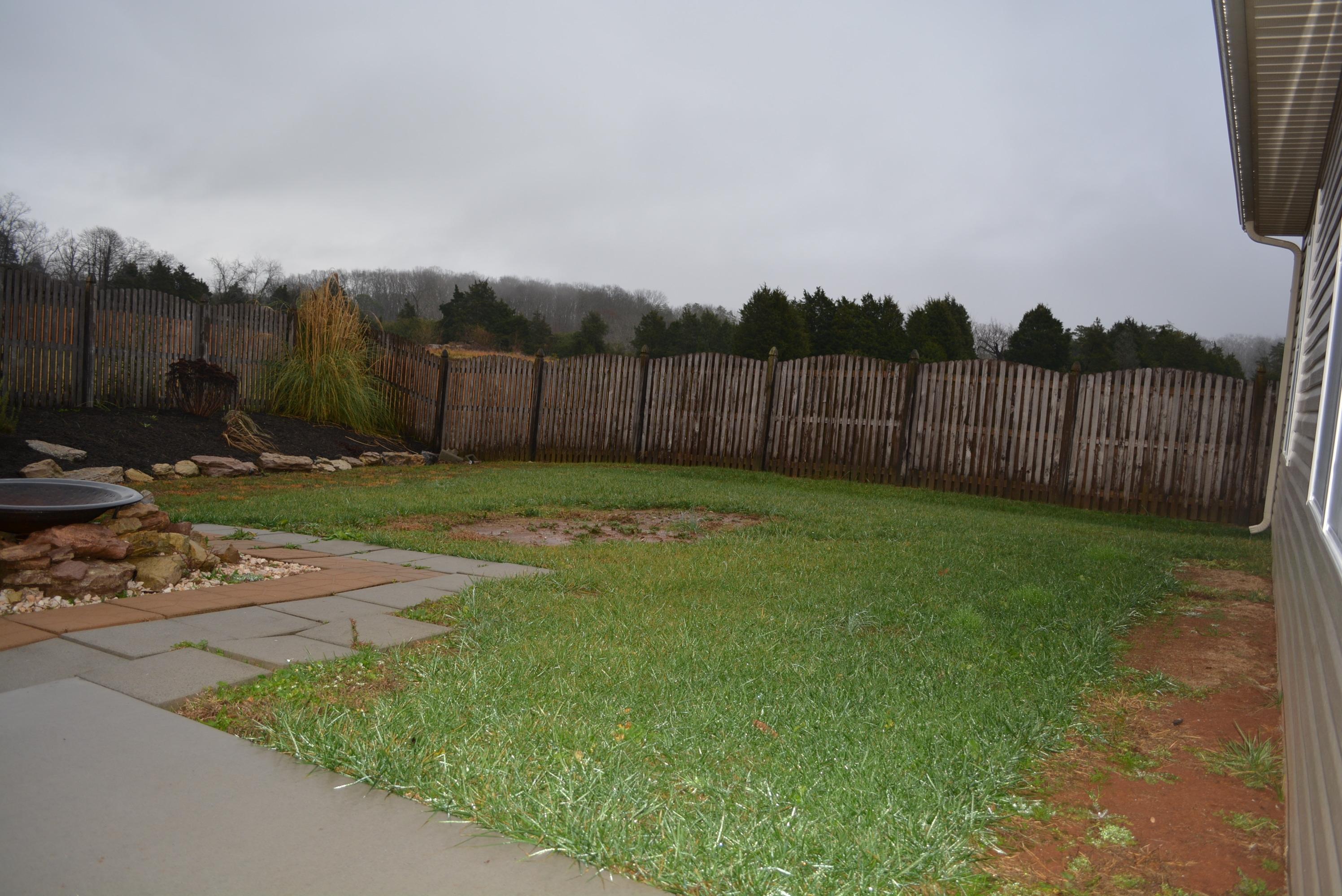 7710 Longshanks Road Corryton, TN 37721 - Photo 31 of 31 EP-8-Backyard 3