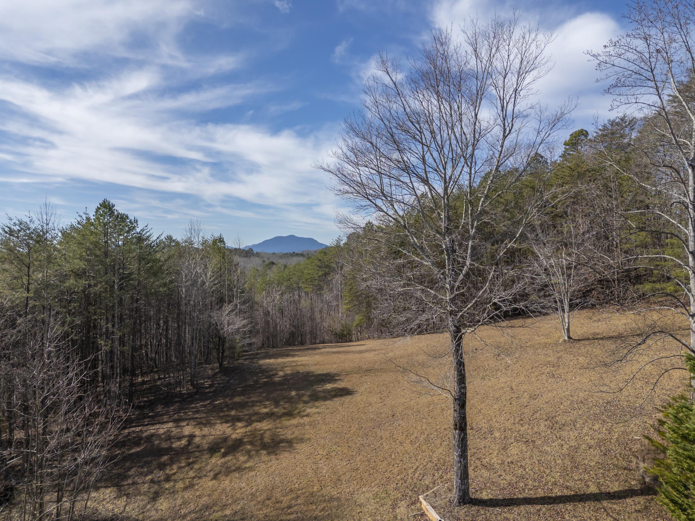 4006 Polk County Line Road Rutherfordton, NC 28139 - Photo 36 of 49 Gallery Image 36