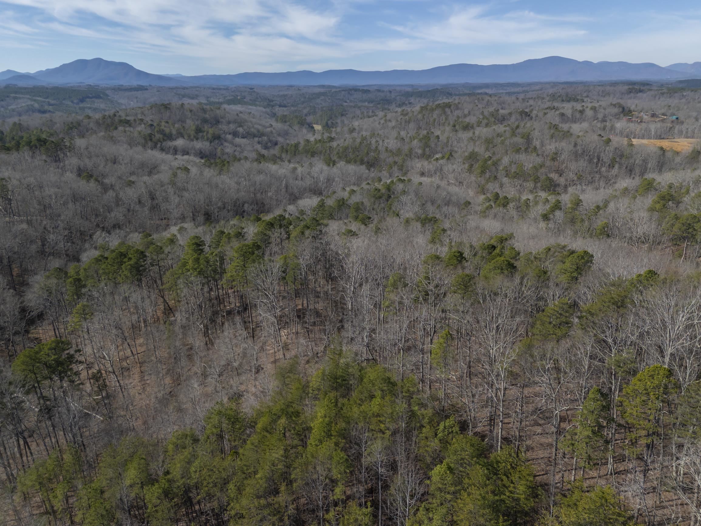 4006 Polk County Line Road Rutherfordton, NC 28139 - Photo 45 of 49 Gallery Image 45