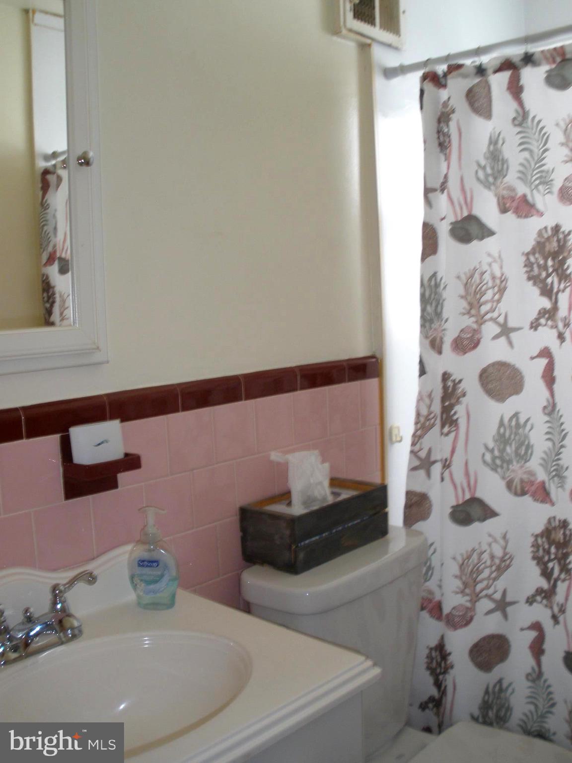 2220 Vailthorn Road Baltimore, MD 21220 - Photo 20 of 34 Main Bathroom