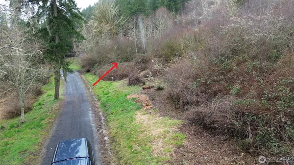a view of path along with trees