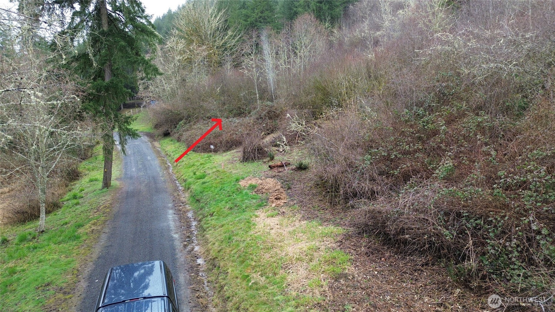 a view of path along with trees