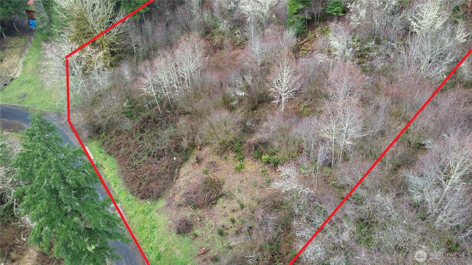 573 Clearwater Road Kelso, WA 98626 - Photo 12 of 34 a view of wooden stairs and a wooden bridge