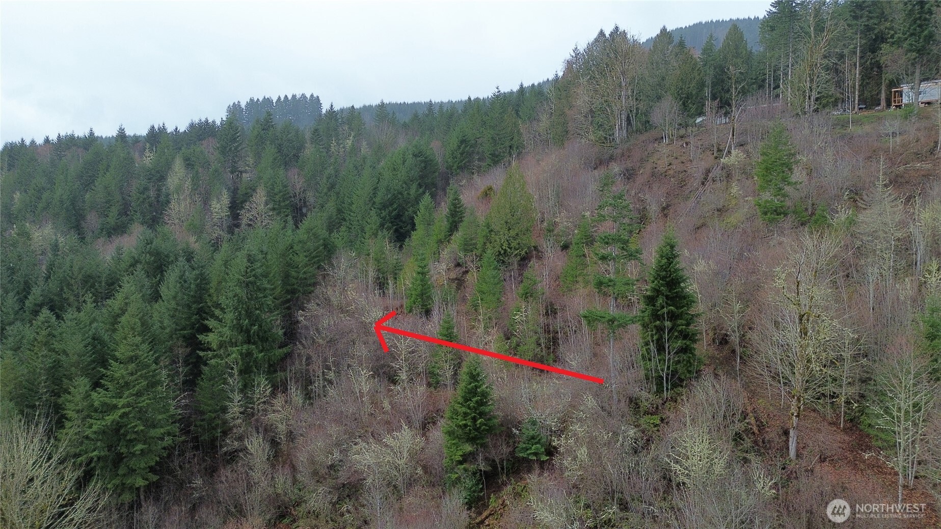 573 Clearwater Road Kelso, WA 98626 - Photo 13 of 34 a view of a field