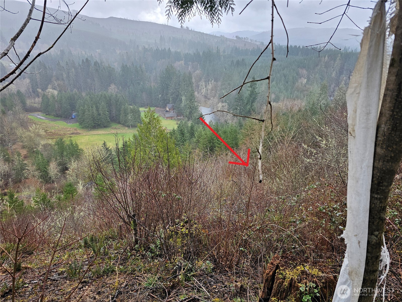 573 Clearwater Road Kelso, WA 98626 - Photo 20 of 34 a view of a pathway