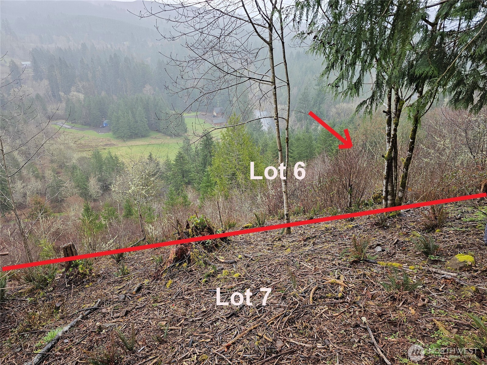 573 Clearwater Road Kelso, WA 98626 - Photo 22 of 34 a view of street