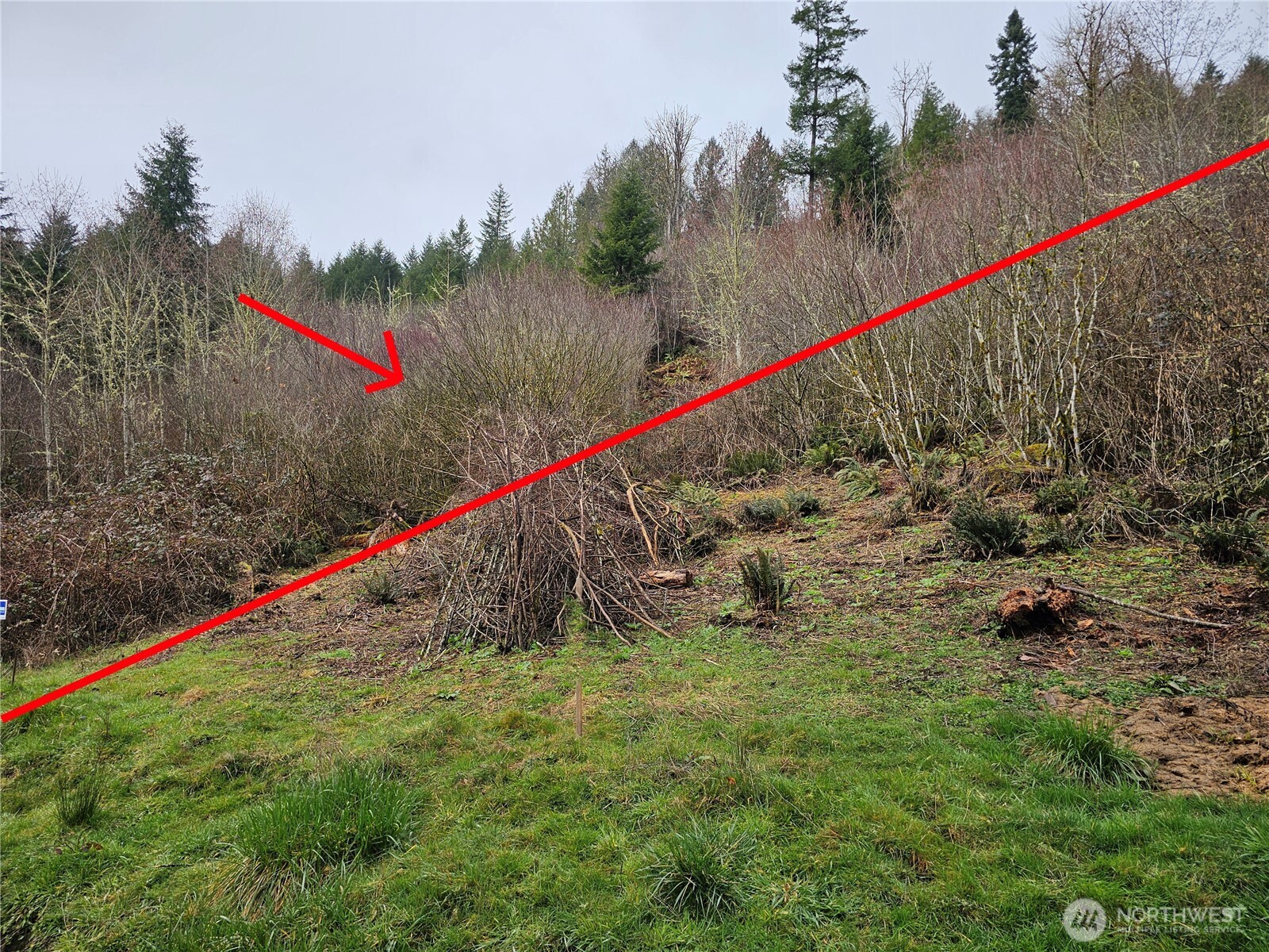 573 Clearwater Road Kelso, WA 98626 - Photo 23 of 34 a view of a pathway with a park