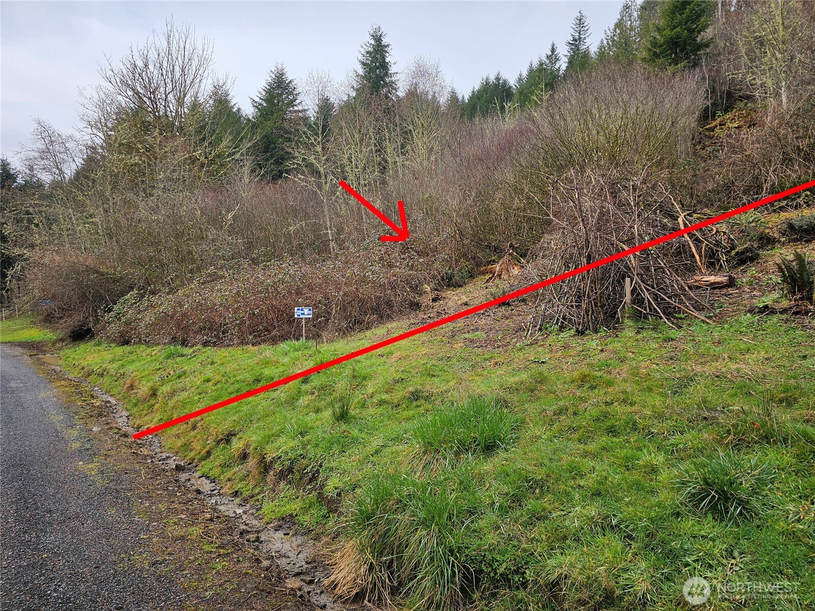 573 Clearwater Road Kelso, WA 98626 - Photo 24 of 34 a view of a park with large trees