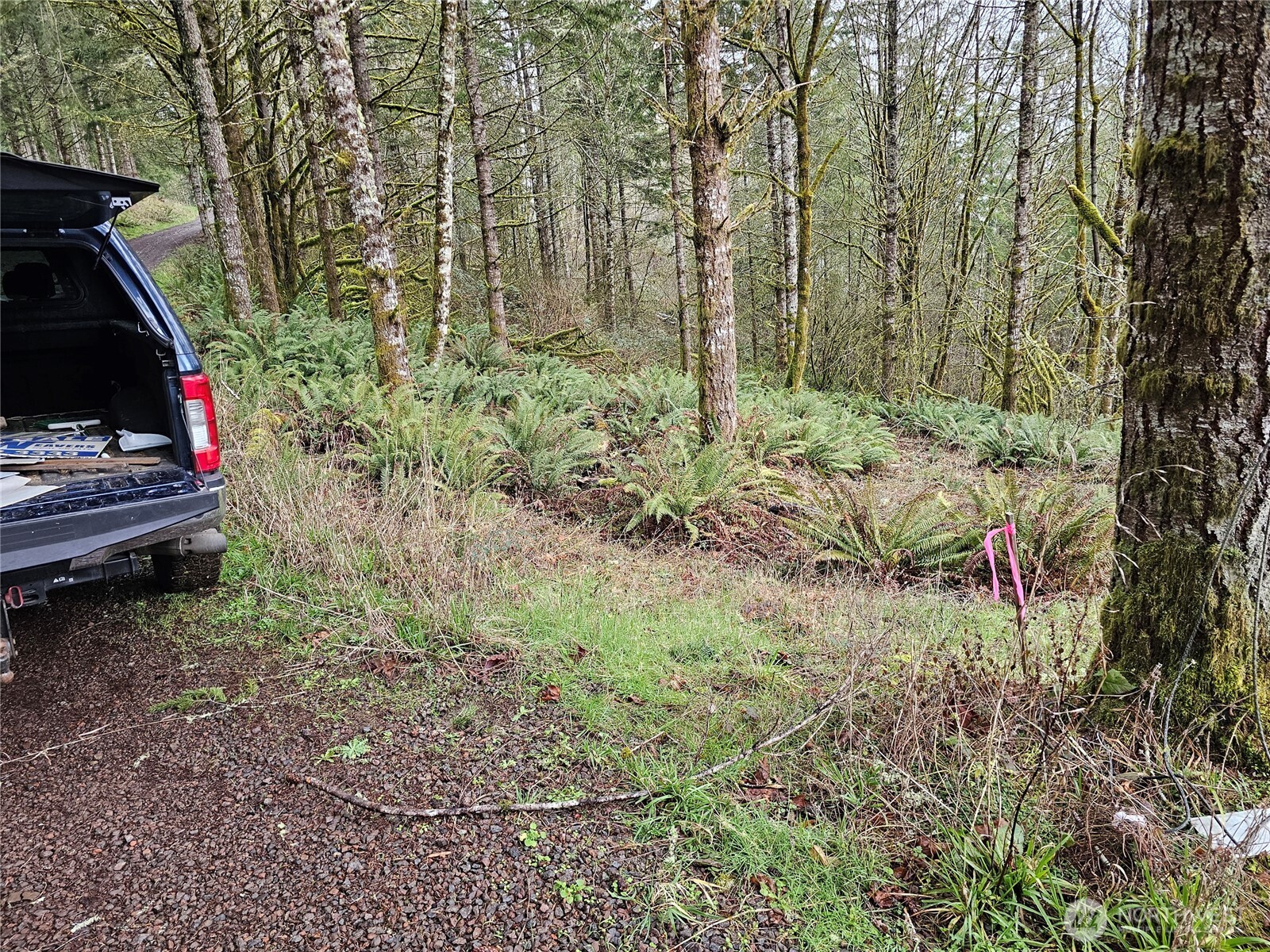 573 Clearwater Road Kelso, WA 98626 - Photo 25 of 34 a backyard of a house with lots of green space