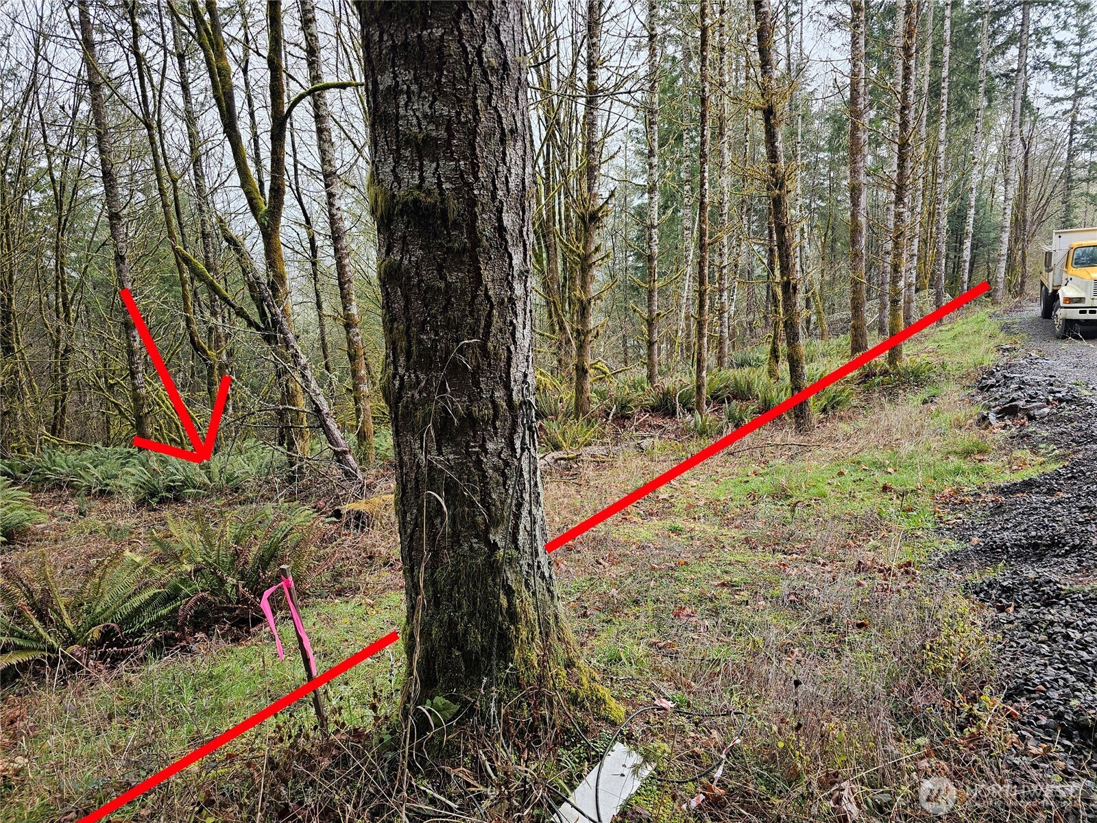 573 Clearwater Road Kelso, WA 98626 - Photo 26 of 34