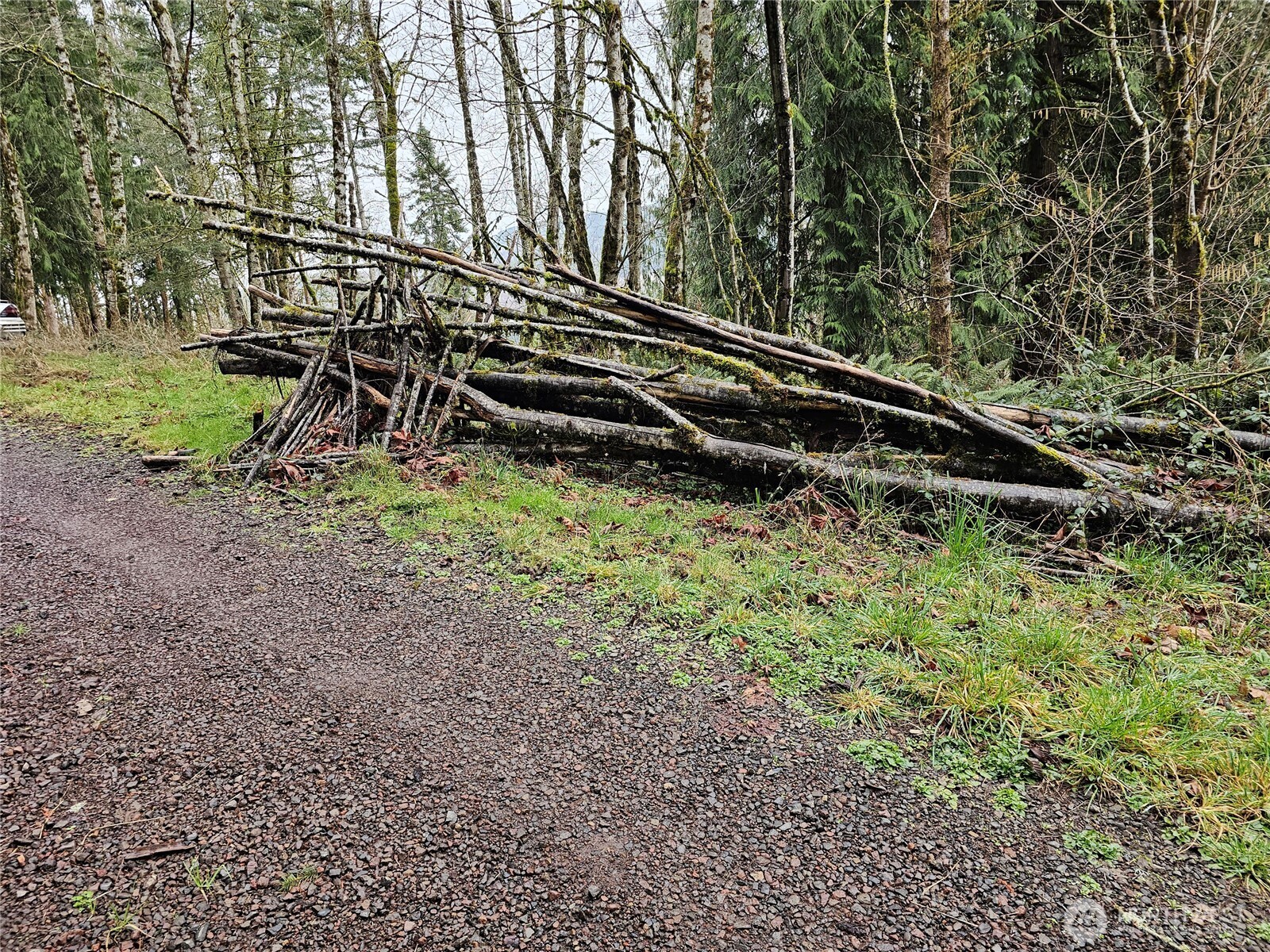 573 Clearwater Road Kelso, WA 98626 - Photo 30 of 34 a backyard of a house with lots of green space