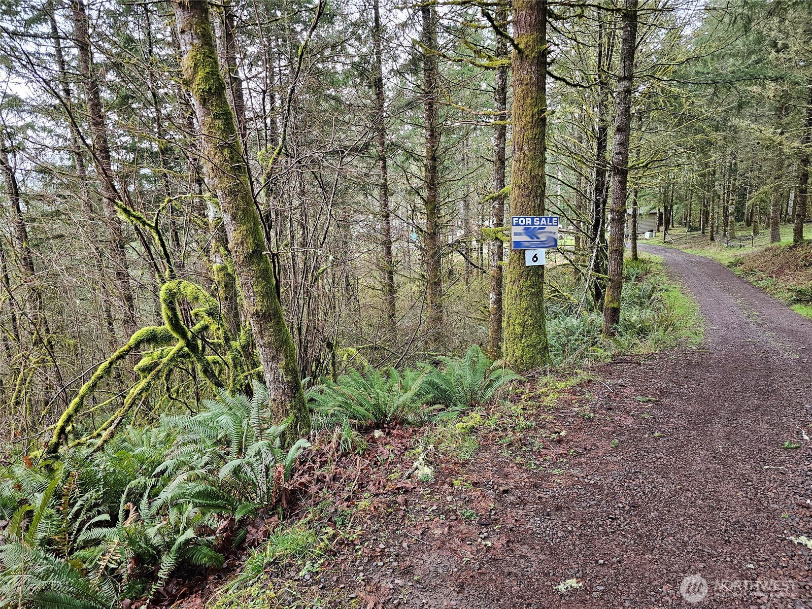 573 Clearwater Road Kelso, WA 98626 - Photo 32 of 34 a view of outdoor space and garden