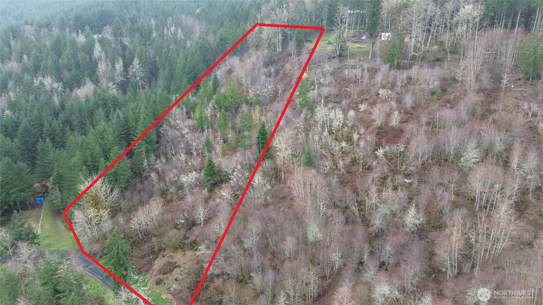 573 Clearwater Road Kelso, WA 98626 - Photo 8 of 34 a view of a backyard