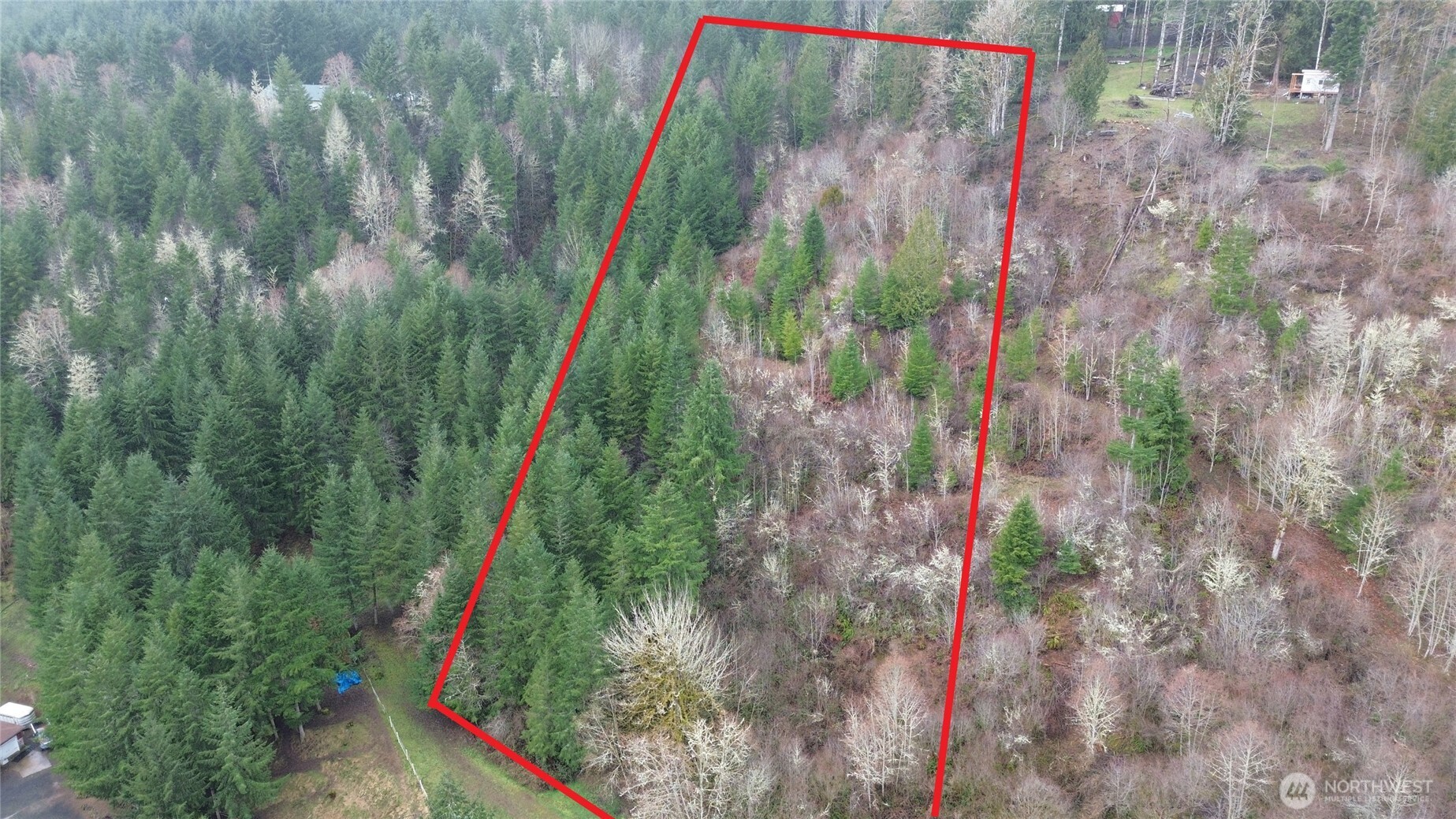 573 Clearwater Road Kelso, WA 98626 - Photo 10 of 34 a view of a yard