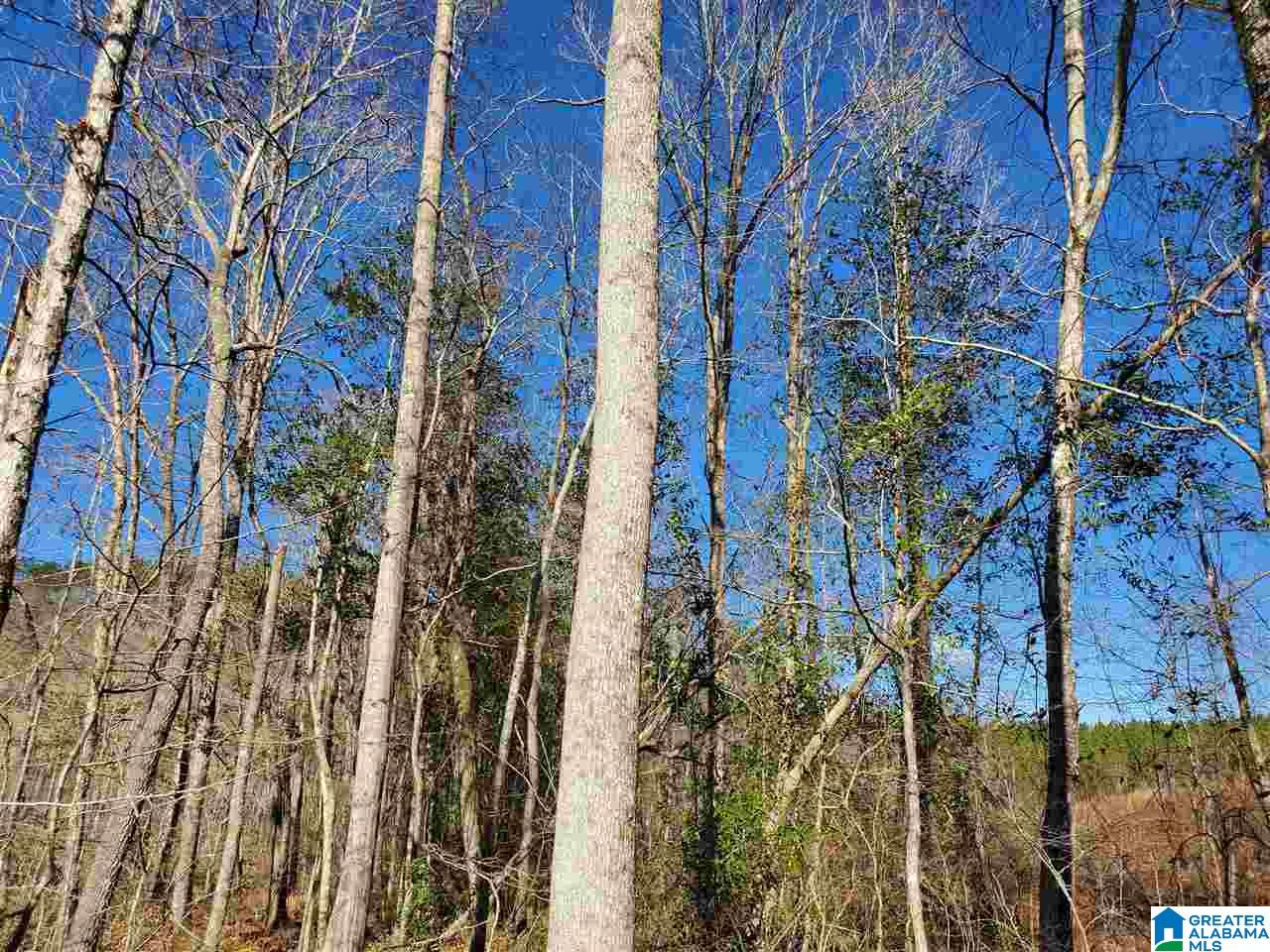 0 Berry Road, Unit 152 Goodwater, AL 35072 - Photo 1 of 30