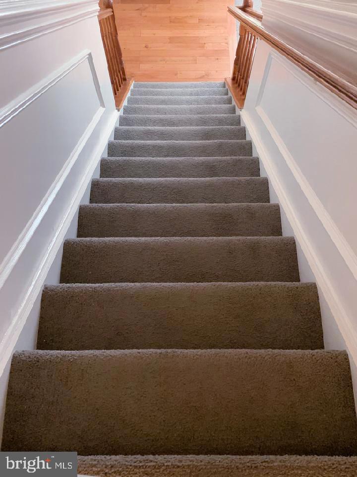 394 Sapling Way Atco, NJ 08004 - Photo 20 of 38 New Carpeting on stairs