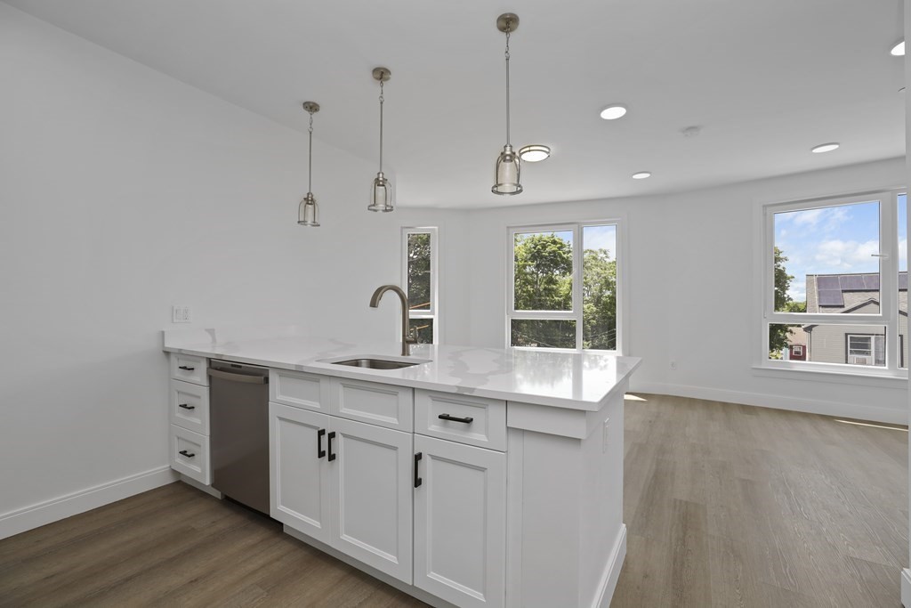 64 Alpine Street, Unit 303 Boston, MA 02119 - Photo 5 of 10 Gallery Image 5