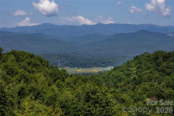 a view of a house with a mountain and a forest