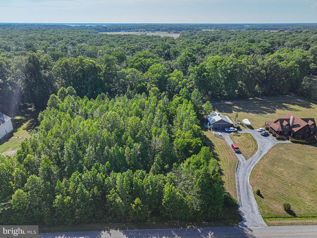 Lot 7 Bell Road Whaleyville, MD 21872 - Photo 4 of 20