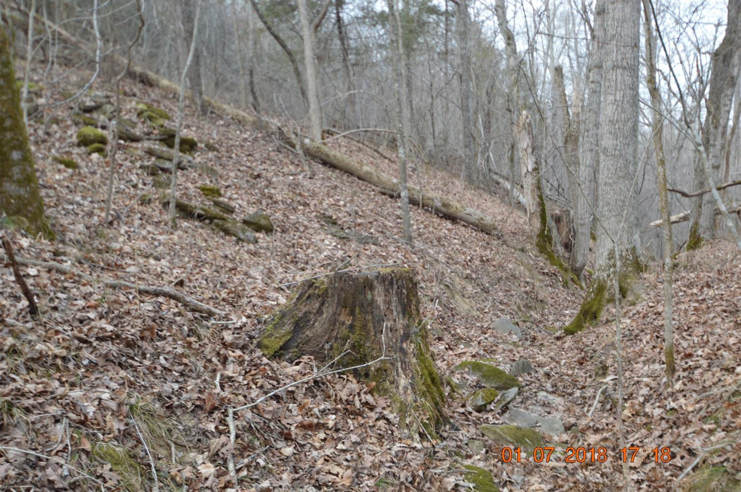 1290 Dennis Road, Unit 3 Lawrenceburg, KY 40342 - Photo 64 of 76 Photo 64