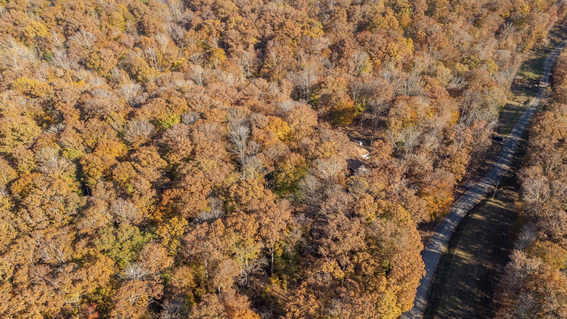 2411 Keazey Hollow Road Waynesboro, TN 38485 - Photo 27 of 38
