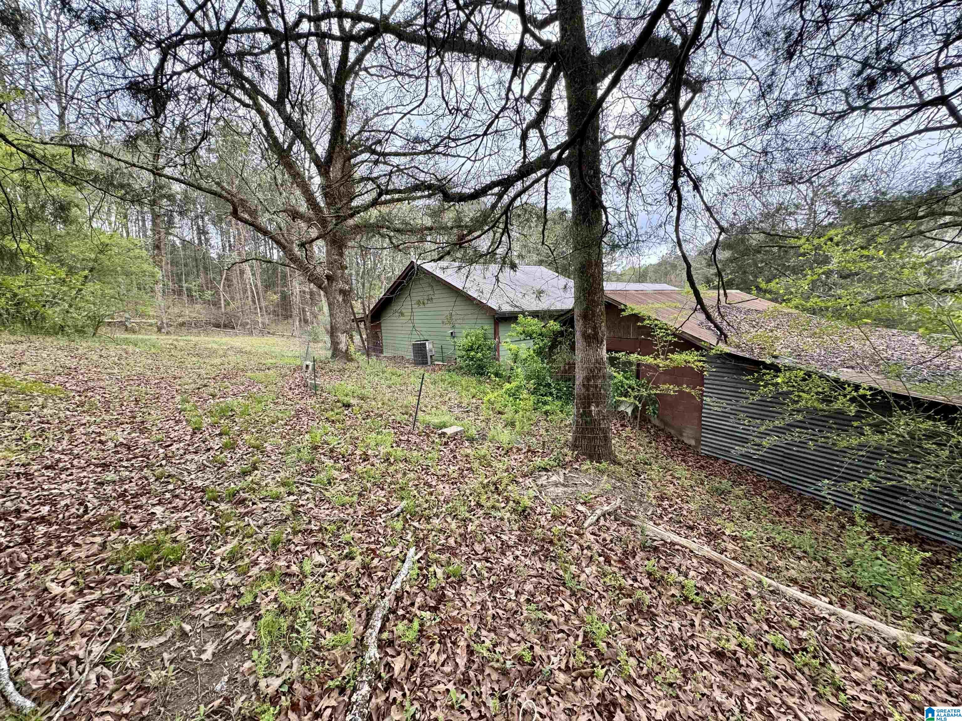 6420 Snowville Brent Road Dora, AL 35062 - Photo 6 of 22