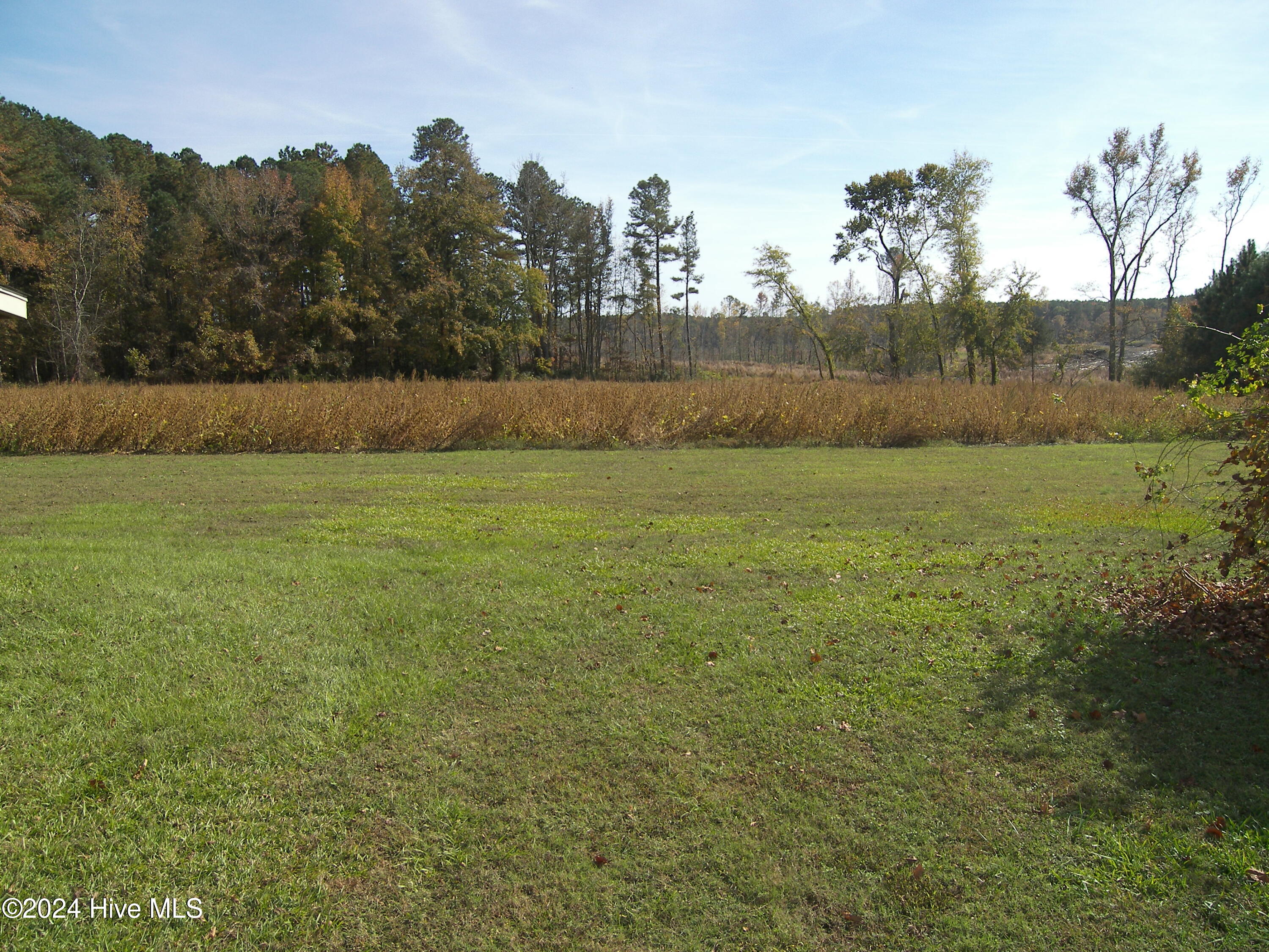 11515 West Old Spring Hope Road Spring Hope, NC 27882 - Photo 10 of 33 100_8104