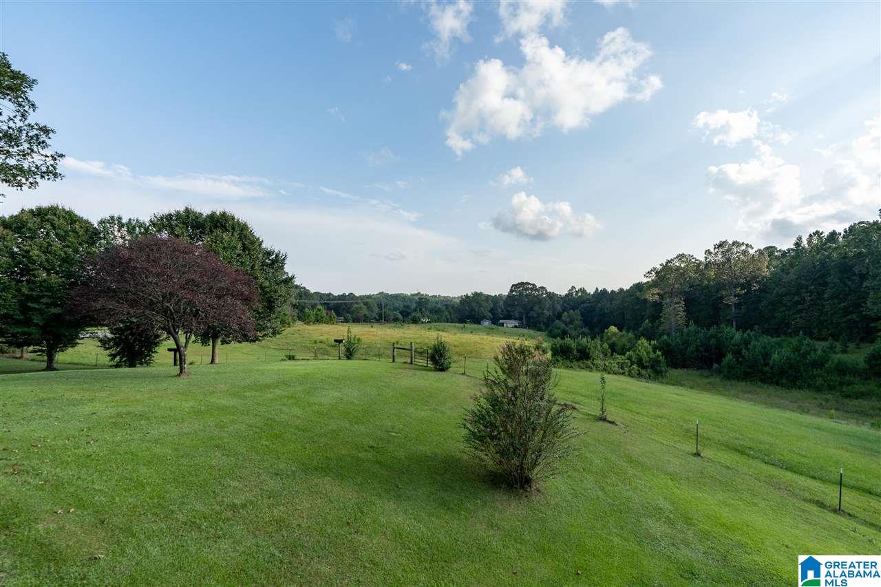 12376 Bama Rock Garden Road Vance, AL 35490 - Photo 41 of 44