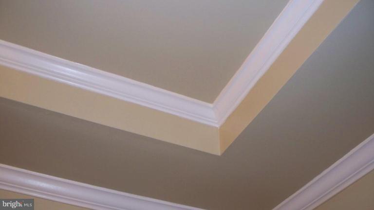 720 3rd Street Northeast Washington, DC 20002 - Photo 4 of 28 Crown Molding