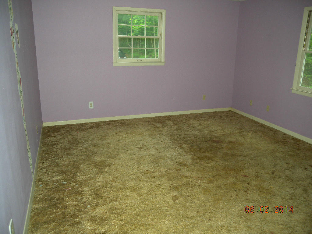 2421 Almost Heaven Road Covington, VA 24426 - Photo 16 of 30 DSCN5201