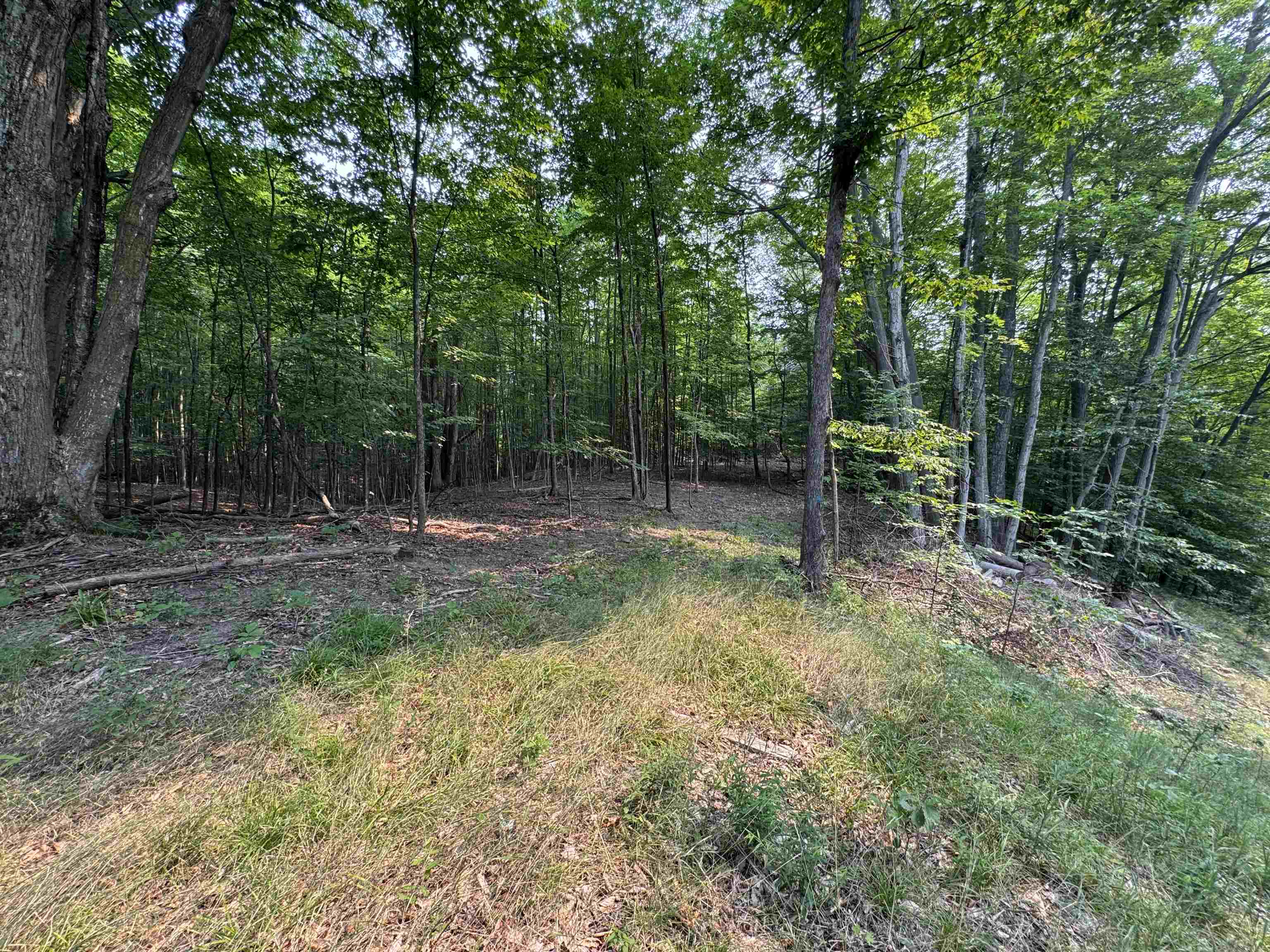Lot #3 East Bellinger Road, Unit BELLINGER ESTATES Cedar, MI 49621 - Photo 4 of 15