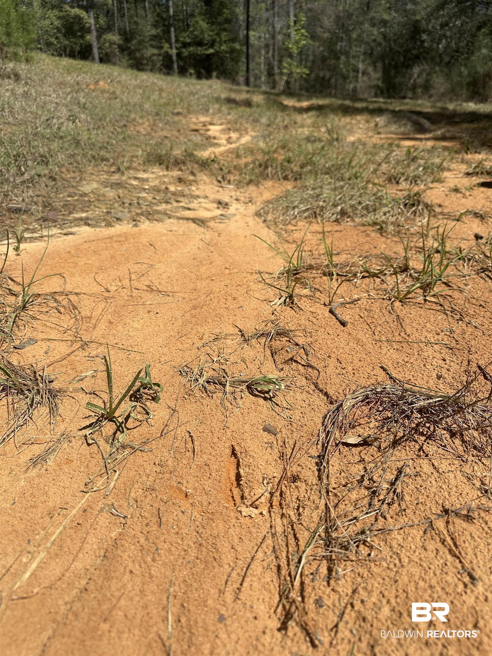 8557 County Road 34 Millry, AL 36558 - Photo 29 of 36 View of landscape