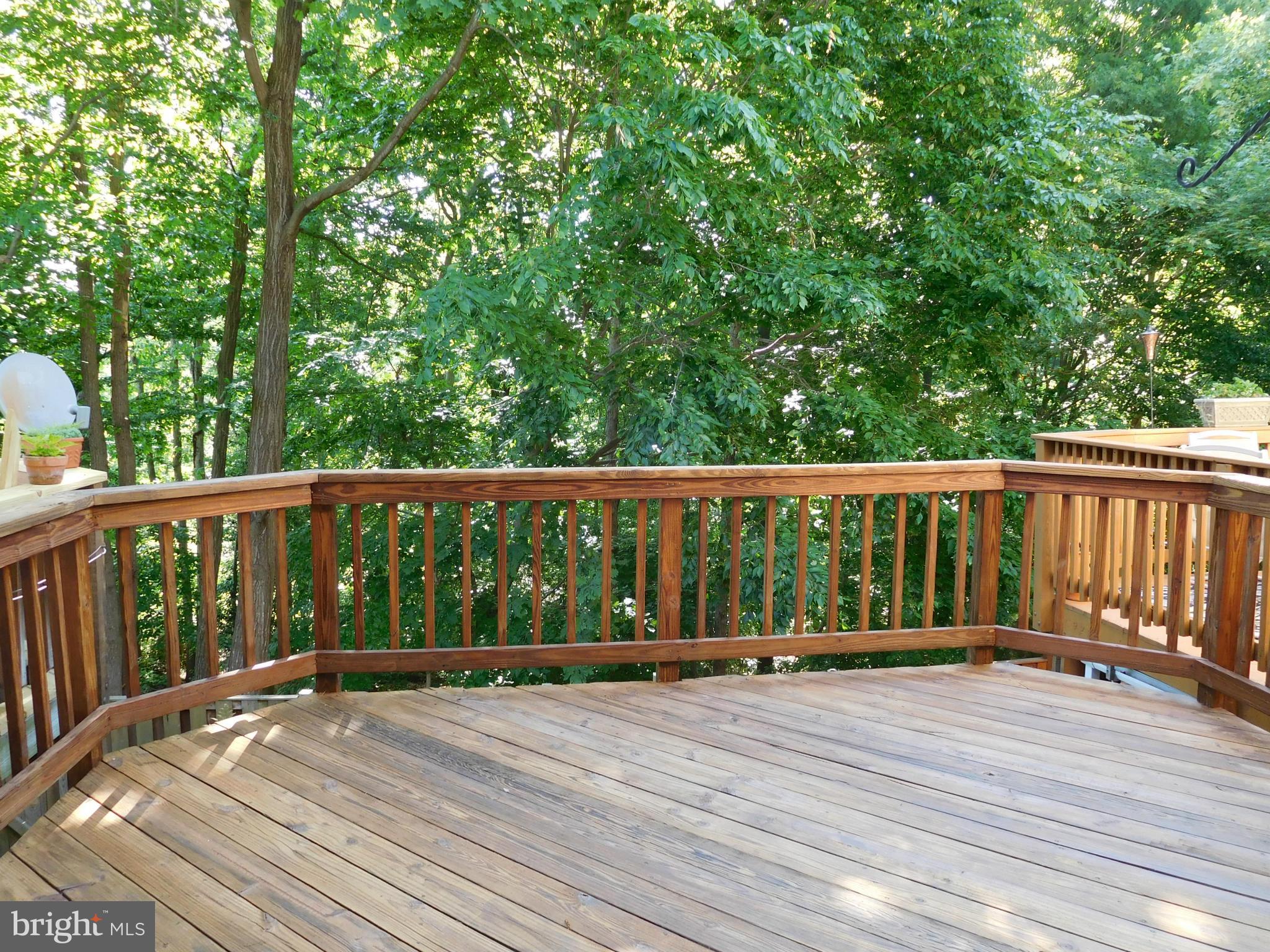 8426 Springfield Oaks Drive Springfield, VA 22153 - Photo 10 of 28 Exterior (Rear)