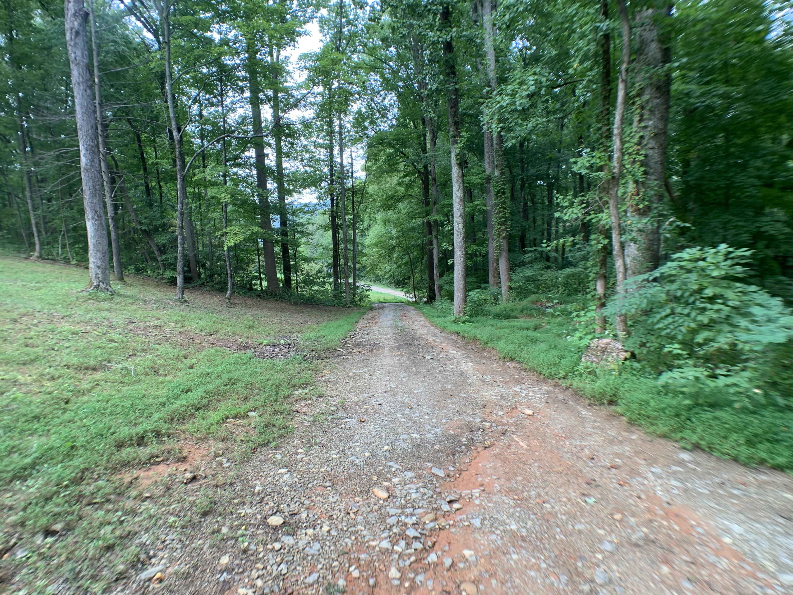 1203 Shuler Road Townsend, TN 37882 - Photo 3 of 14 BFF80005-1135-48ED-89B2-08A98FBC145B