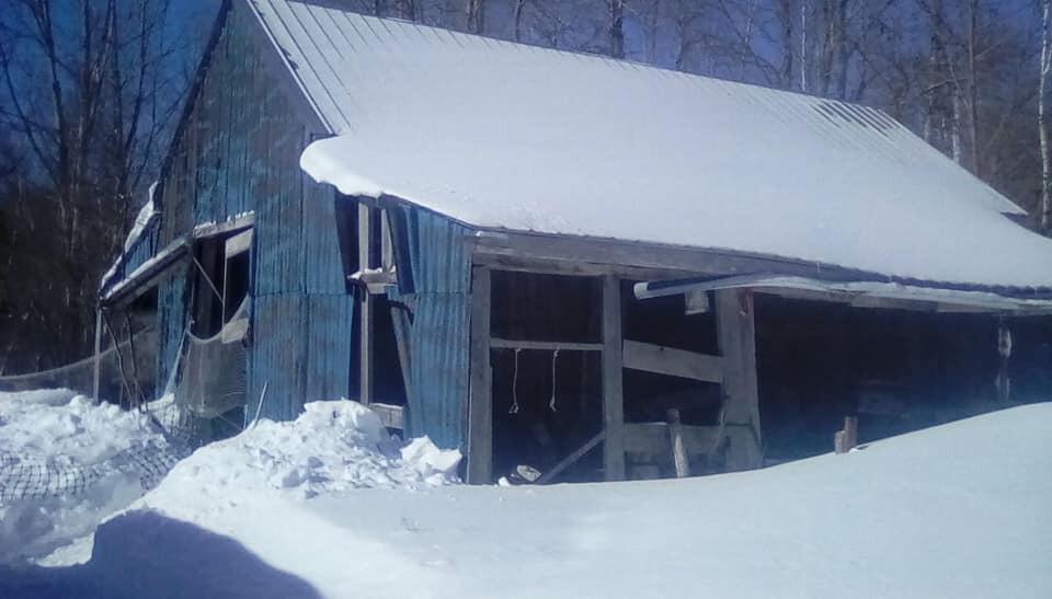 424 Crawford Arm Road Crawford, ME 04694 - Photo 5 of 18 273374030_1365246737236882_2881717588068