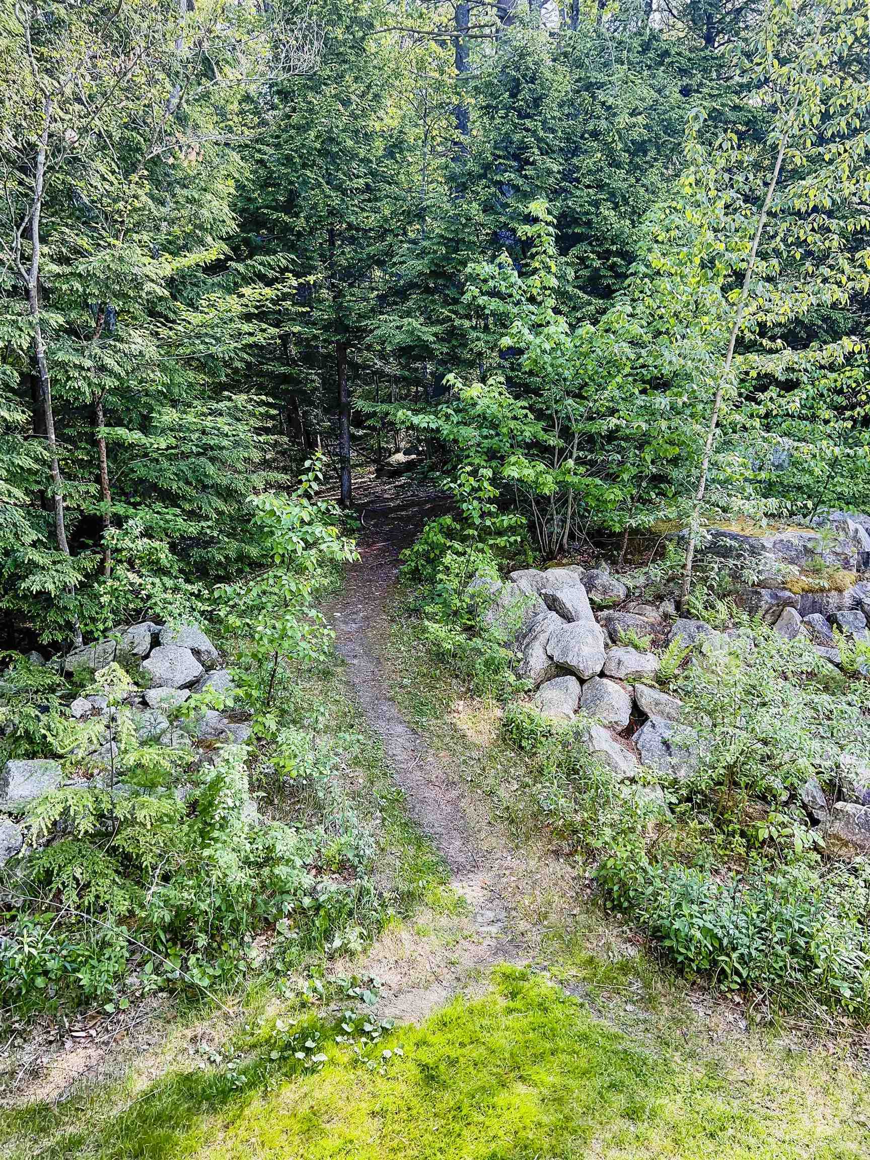 337 Mt Support Road, Unit 505 Lebanon, NH 03766 - Photo 22 of 23