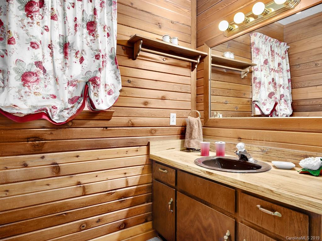 22 Spooks Branch Road Asheville, NC 28804 - Photo 13 of 25 Gallery Image 13