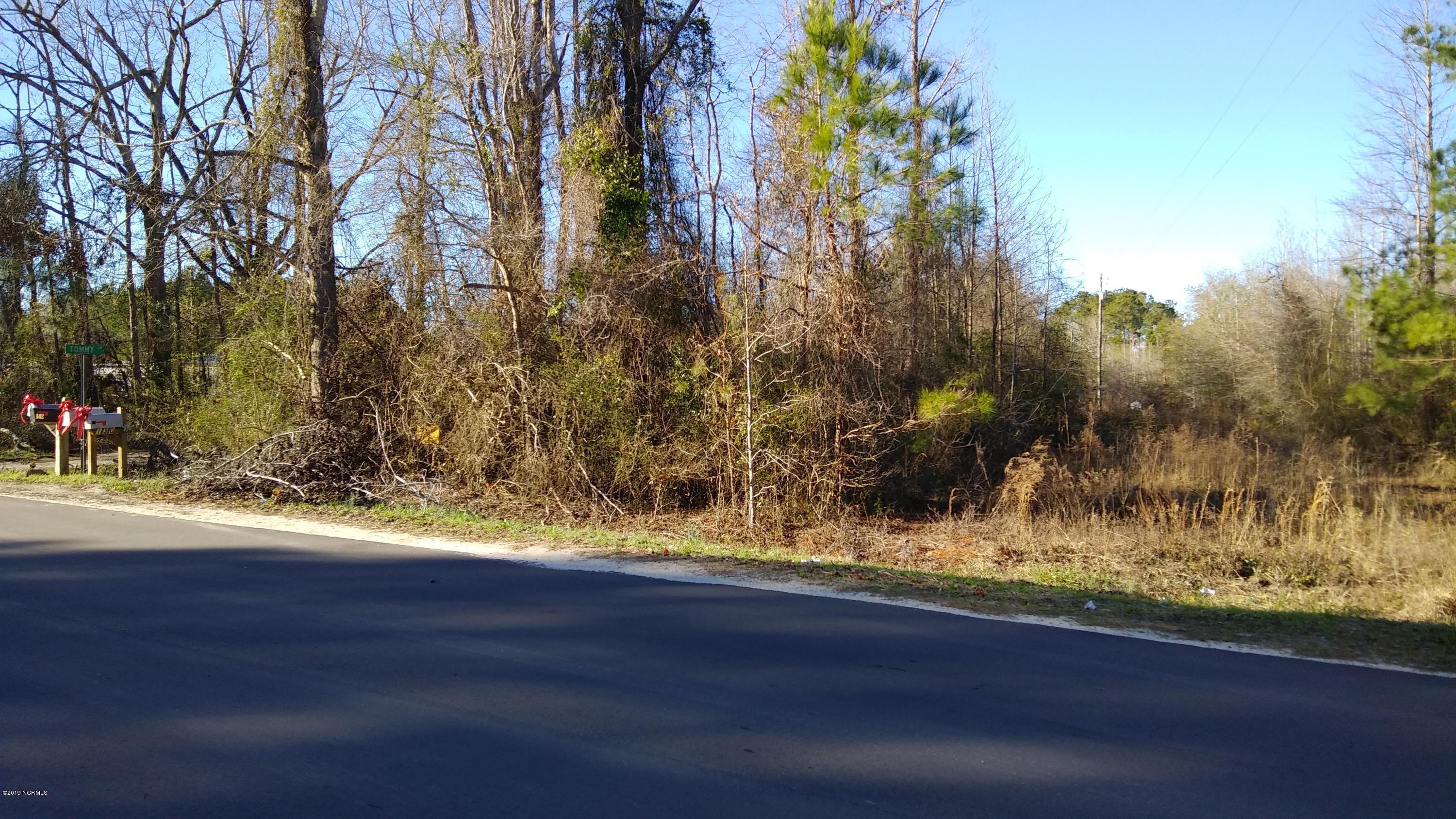 Lot 28 Big Four Road Currie, NC 28435 - Photo 1 of 1 front view at Tommy Lane