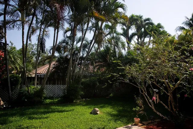 a view of staircase with white walls and a potted plants
