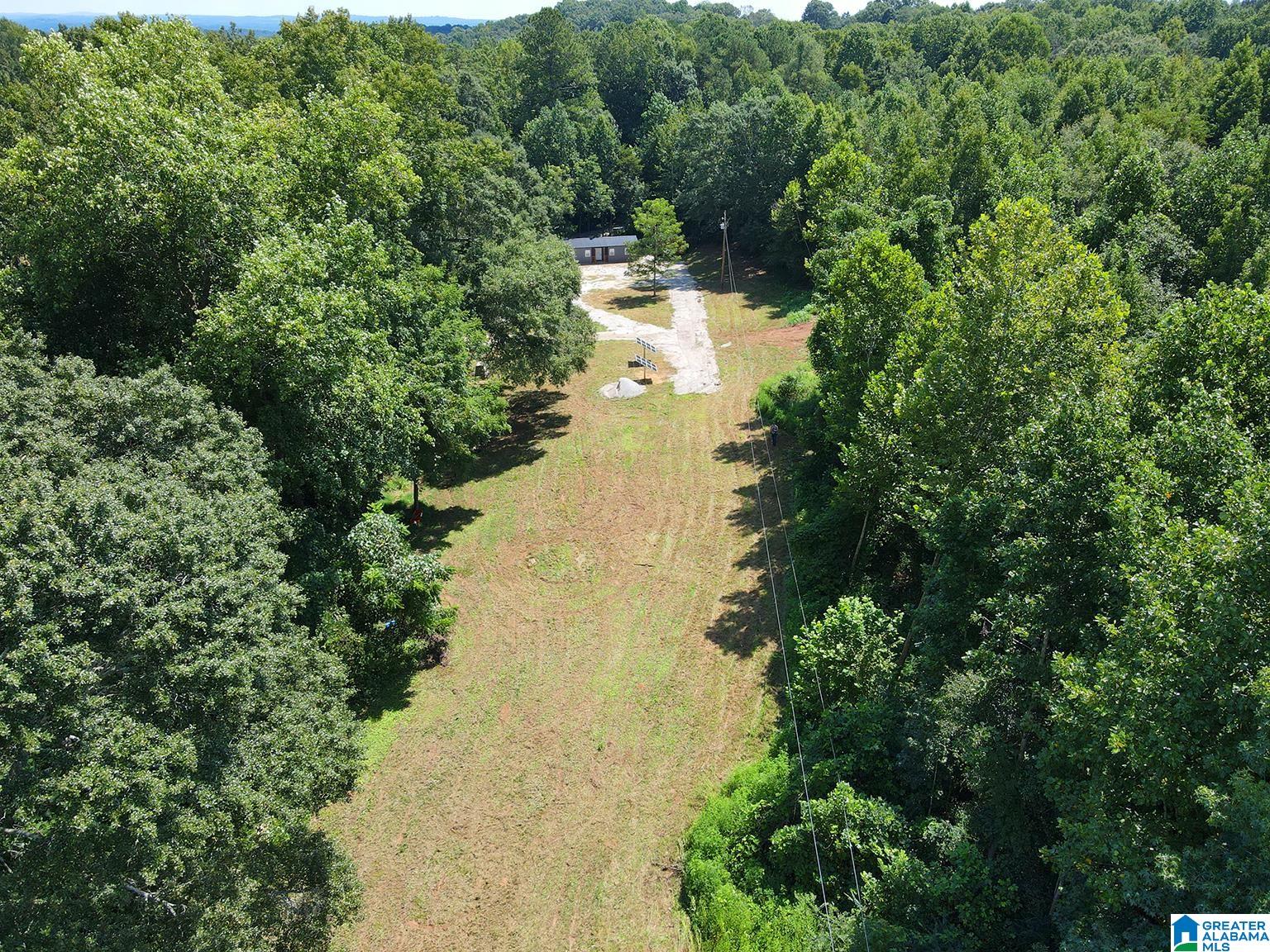 2371 Mt Moriah Road Delta, AL 36258 - Photo 40 of 50