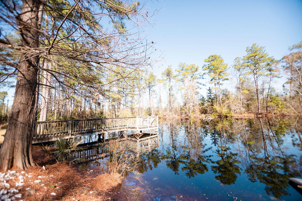 652 Otis Road Walterboro, SC 29488 - Photo 22 of 25 IMG_4182