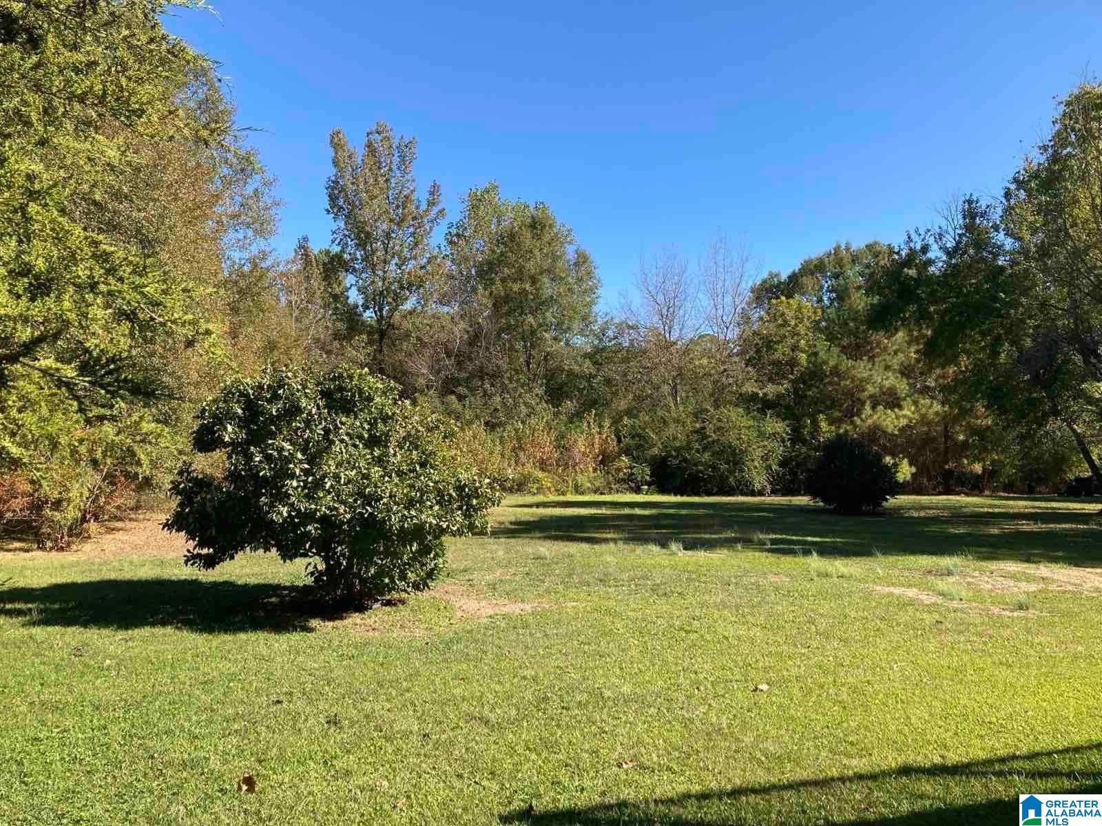 866 Willman Road Talladega, AL 35160 - Photo 4 of 20