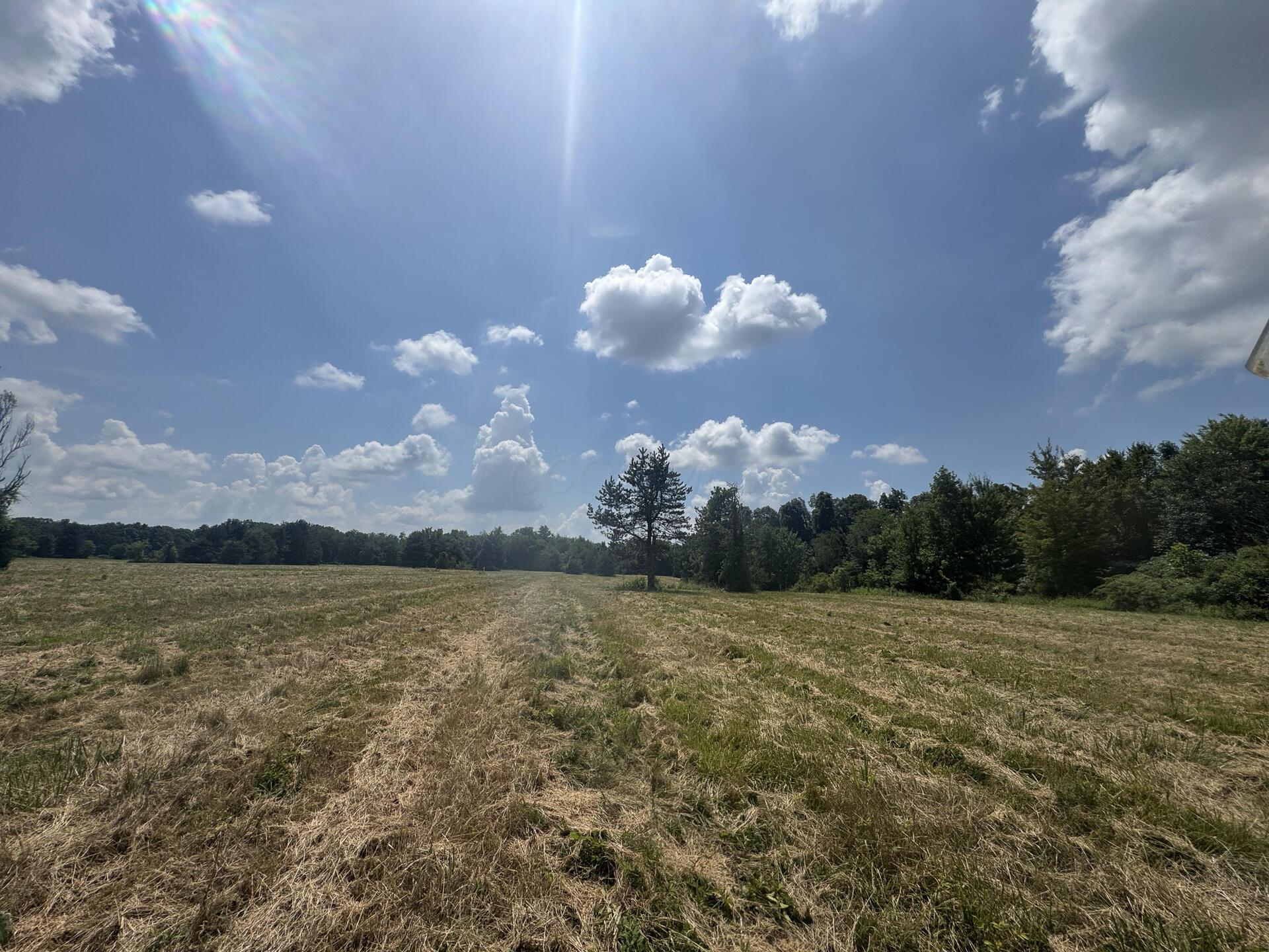370 Golf Course Road, Unit TRACT 5 SKYLINEACRES) Waverly, OH 45690 - Photo 14 of 38 CT-14