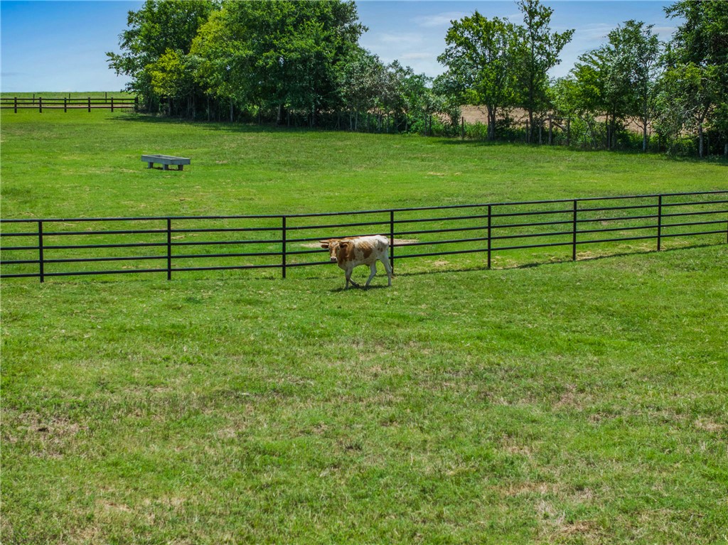 1725 Stokes Road New Ulm, TX 78950 - Photo 4 of 50 View of yard featuring a rural view