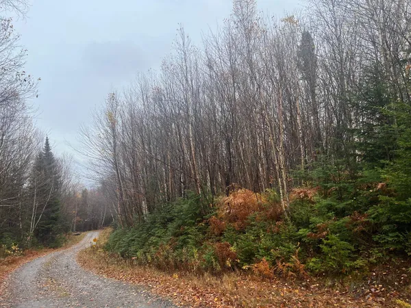 $59,000 | - Hudson Road, Canaan, VT 05903