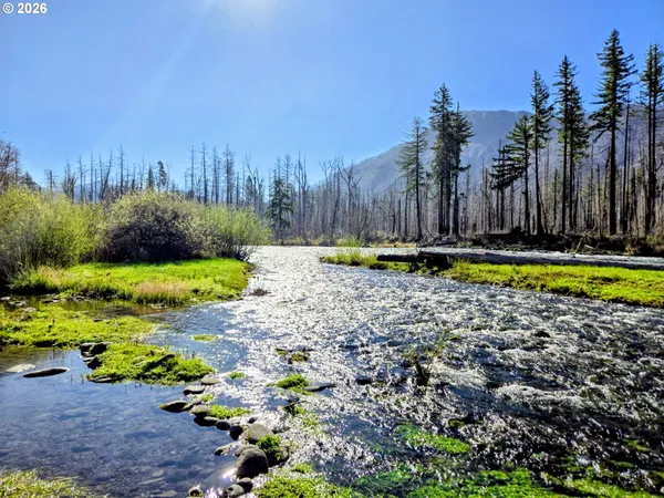 $329,000 | 52912 McKenzie Highway, Blue River, OR 97413