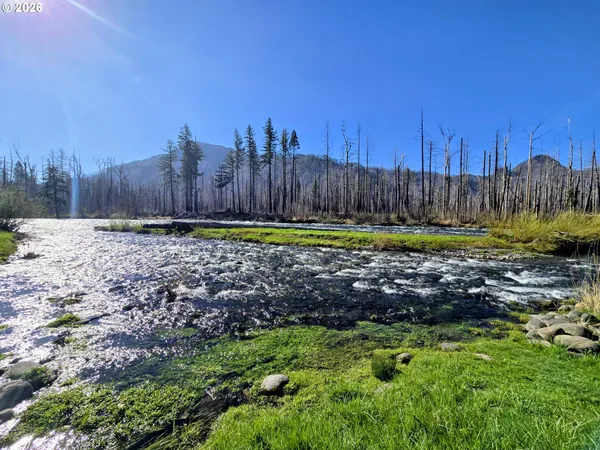 $329,000 | 52912 McKenzie Highway, Blue River, OR 97413